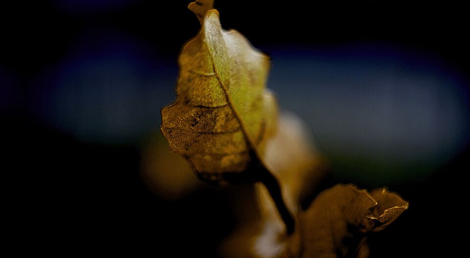KLAUS KLIEM FOTOGRAFIE